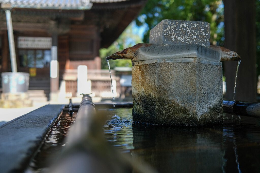 鑁阿寺（足利市）