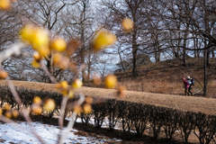 早春の古墳公園