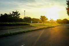 逆光で見た公園散歩