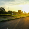 逆光で見た公園散歩