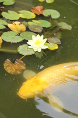 ナイスタイミング！