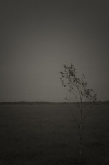 ALONE