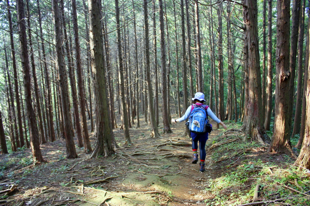 てくてく、山歩き。