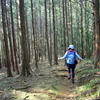 てくてく、山歩き。