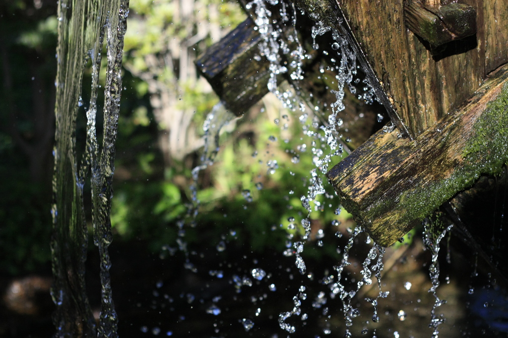 水と、雫と、