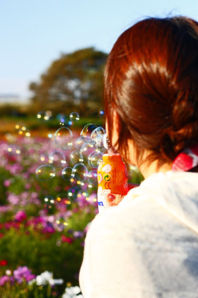 女子と、コスモス。