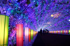 星空のよう