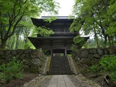 新緑の泰寧寺山門