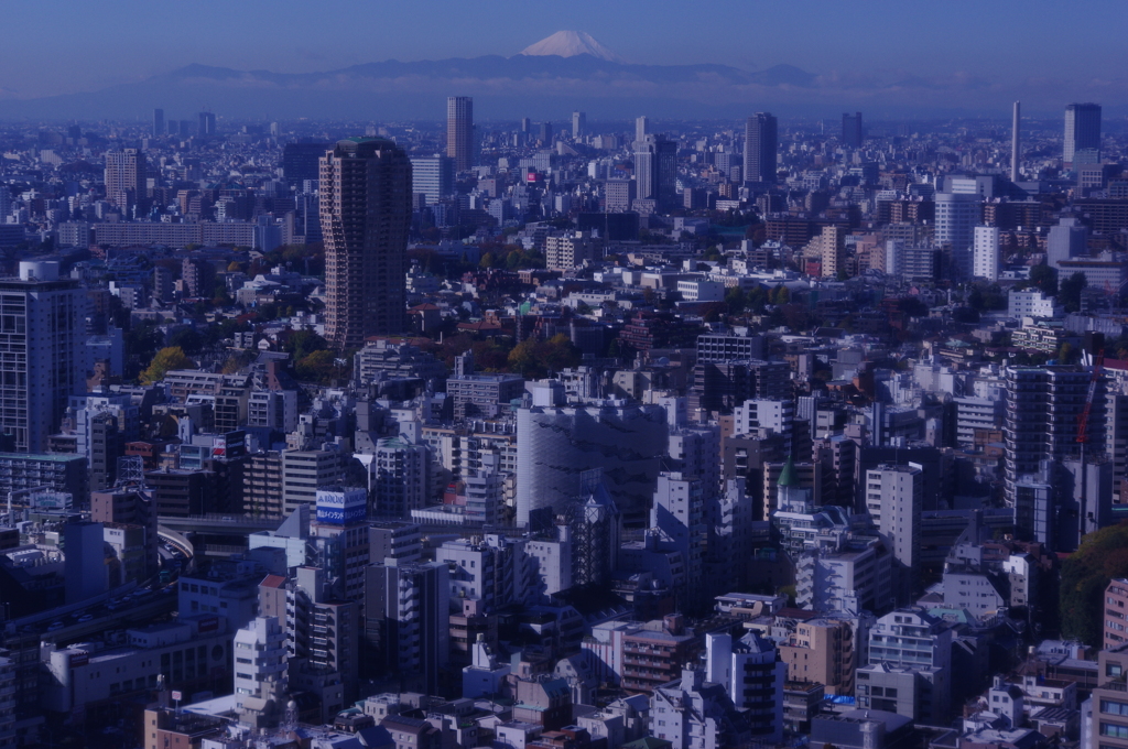 東京タワーから