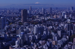 東京タワーから
