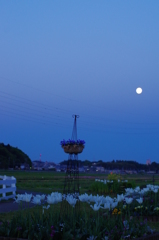 奏でる