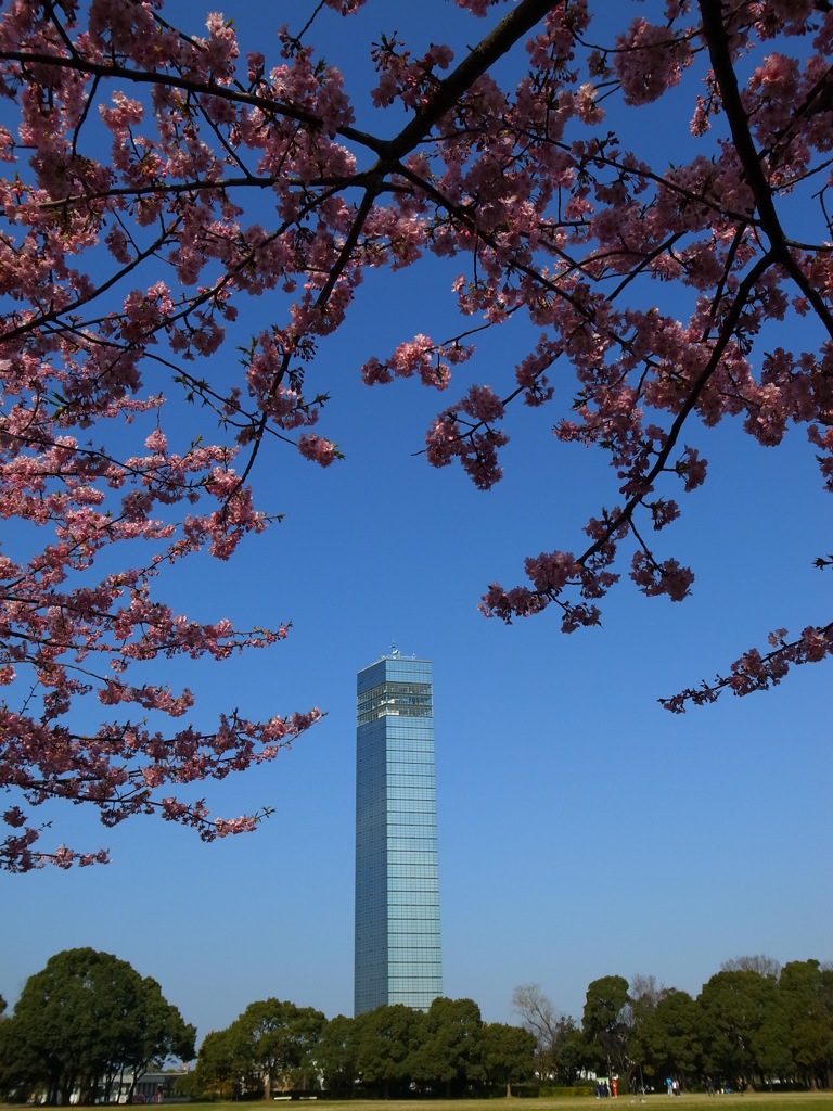 桜タワー