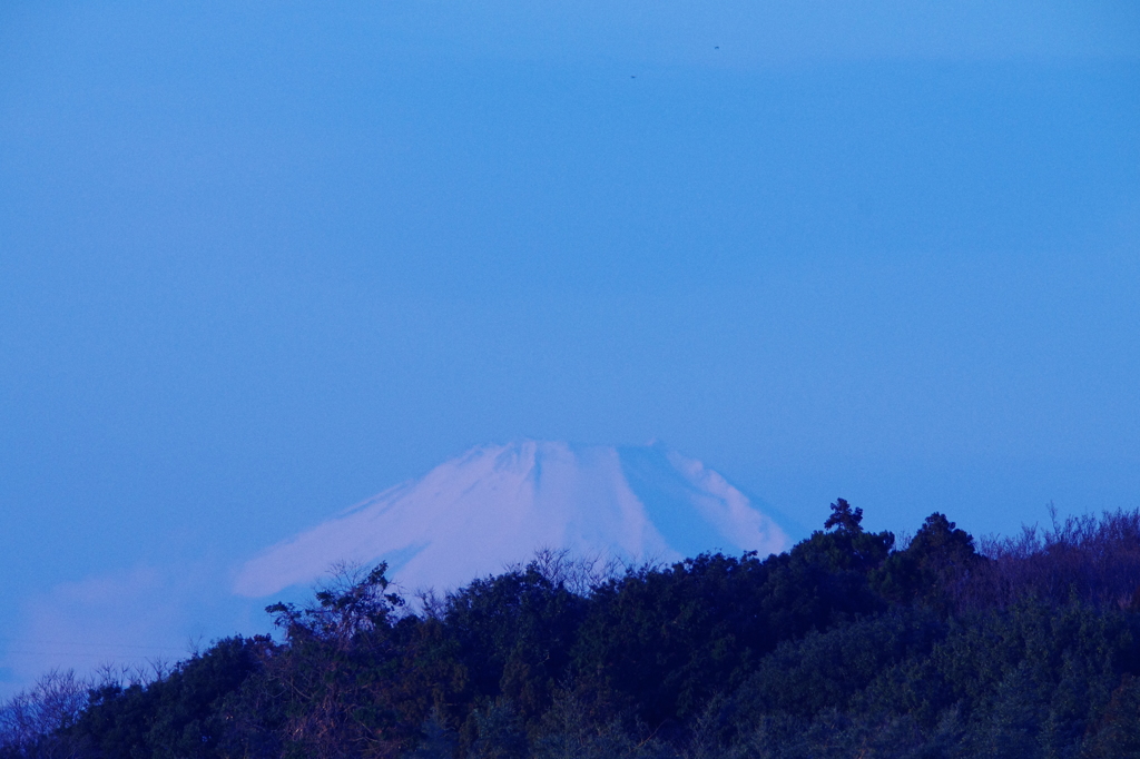 八千代からの富士