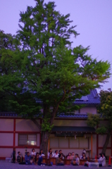 静なる杜の木の下で奏でる