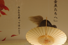 金魚たちへ