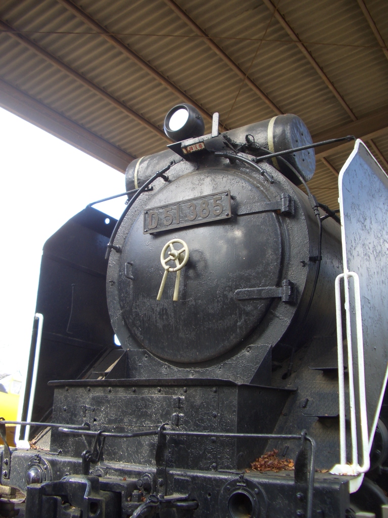 顔D51