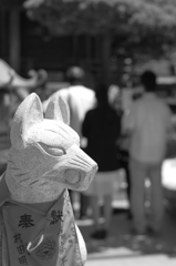 コン
