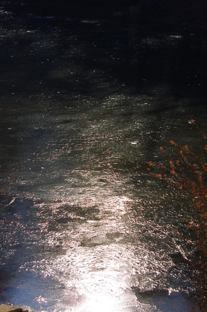 氷光