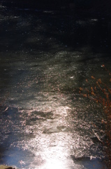 氷光