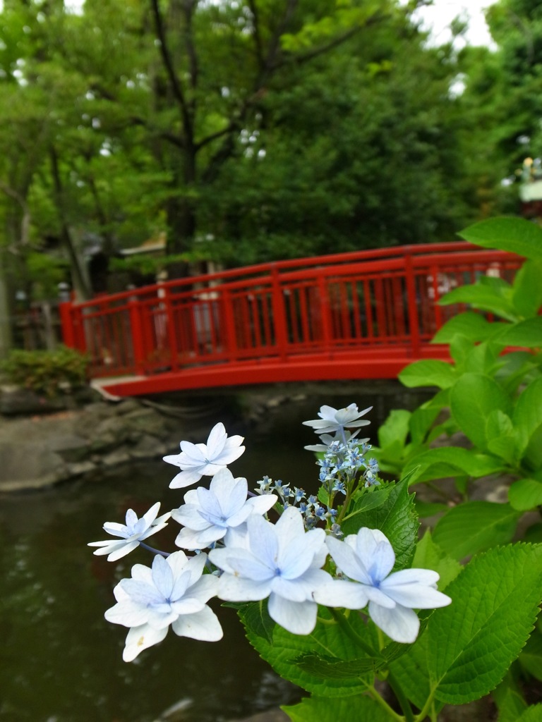 神の下に花開く