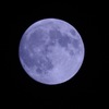 BlueMoon