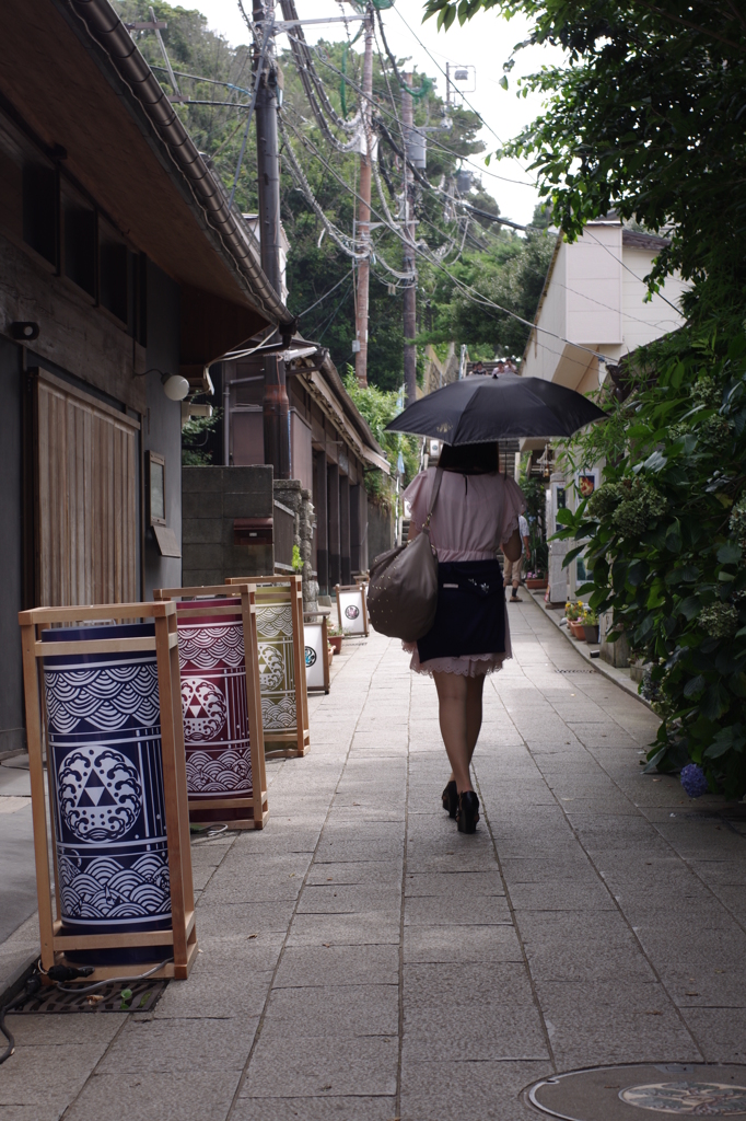 ハイカラさんが通る