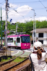 カシャ