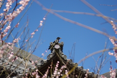 おやつ