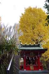 木場の晩秋か？