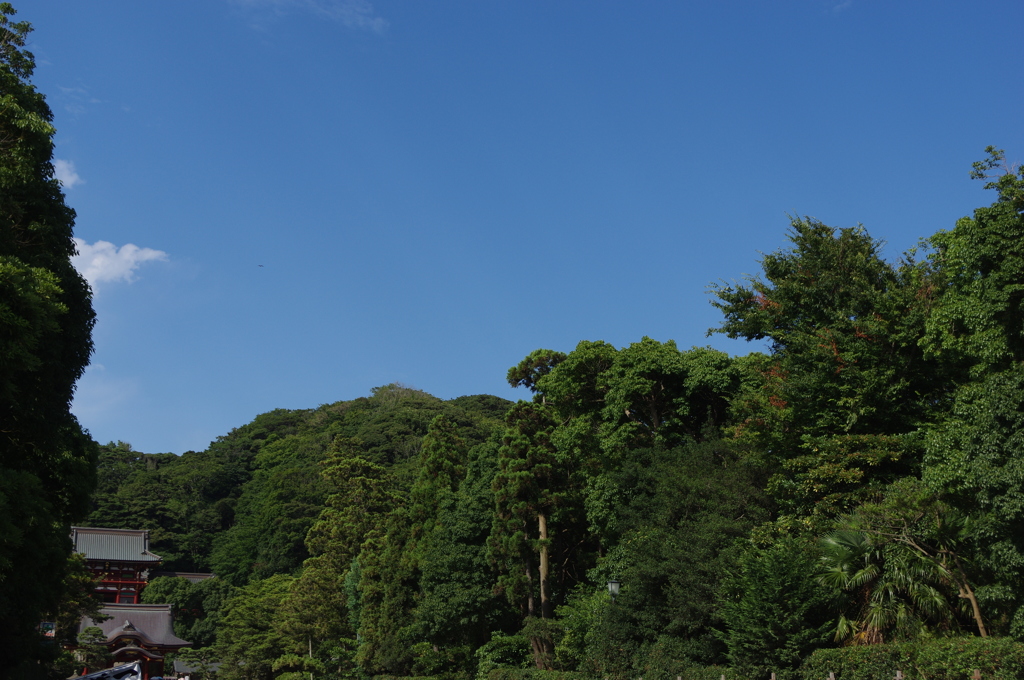 鶴岡八幡宮