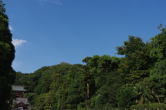 鶴岡八幡宮