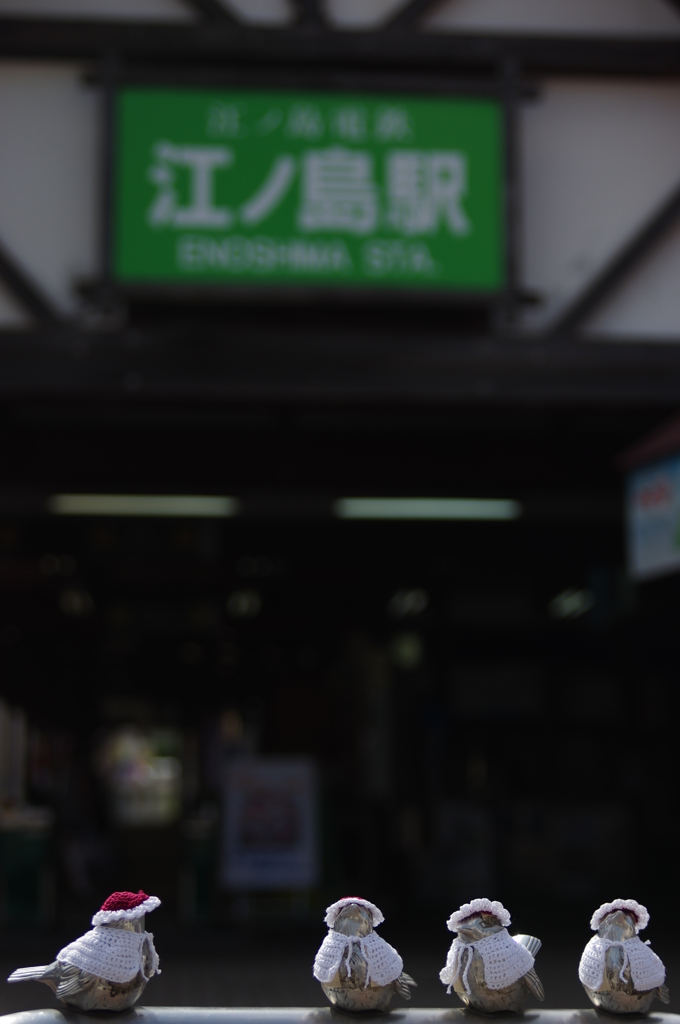 スズメの出迎え