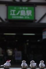 スズメの出迎え