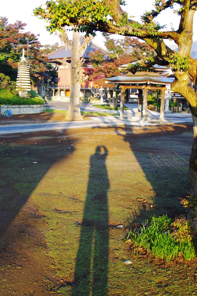 しぇー