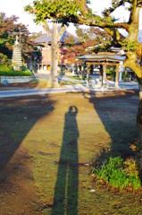 しぇー