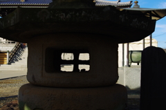 田