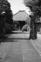 一女（ひとり）散歩