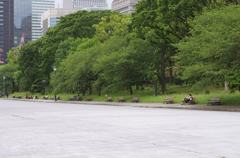 それぞれのベンチ