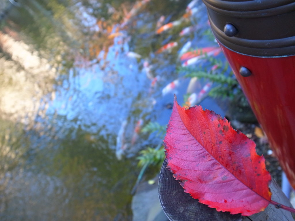 朱に交われば紅くなる