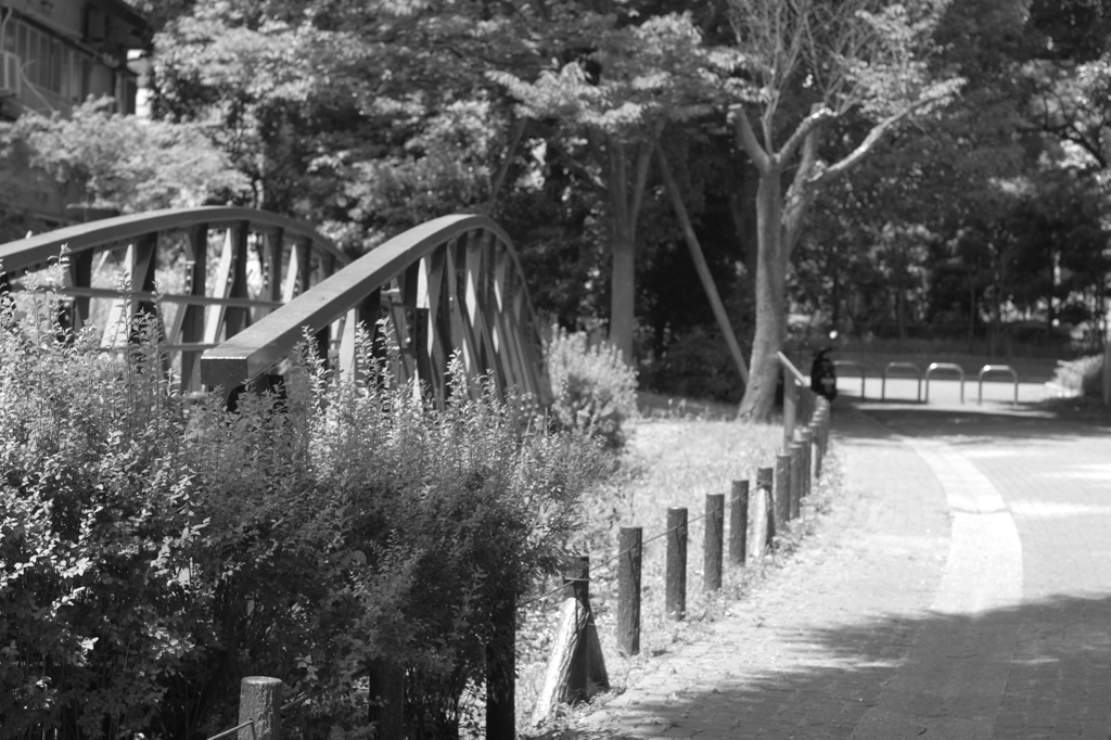 川の跡