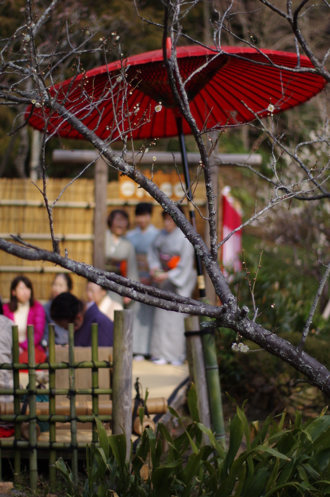 野点傘