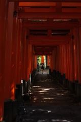 千本鳥居の奥へ