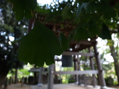 秋へ
