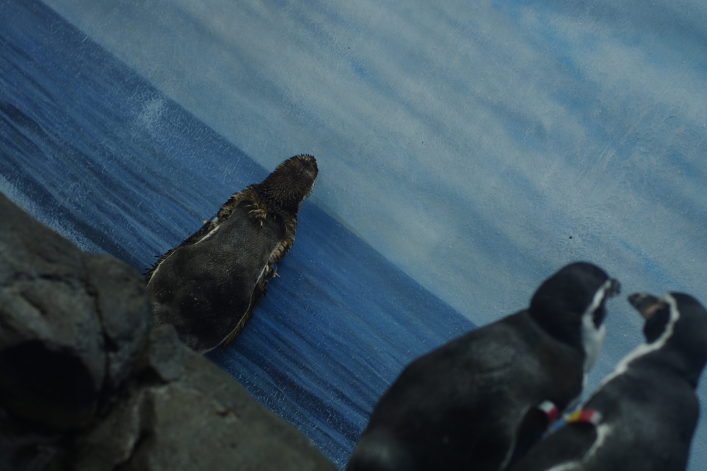 海へ