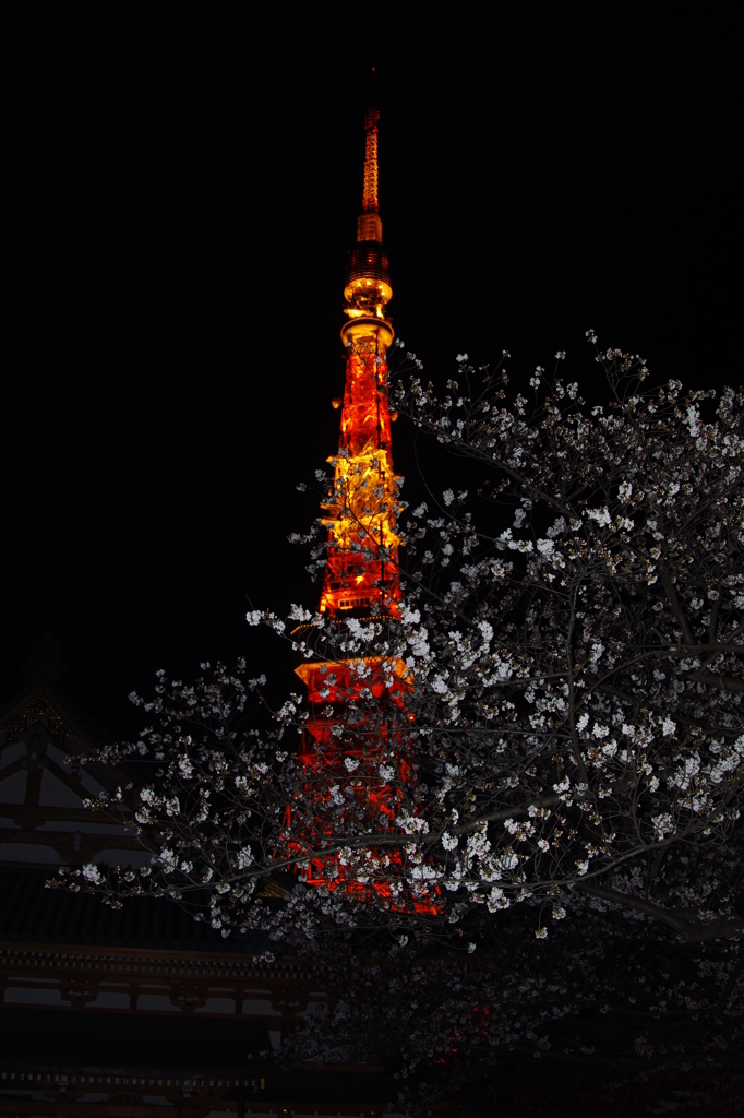 桜タワー