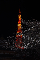 桜タワー