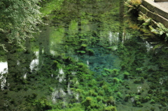 透明度