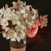 桜1
