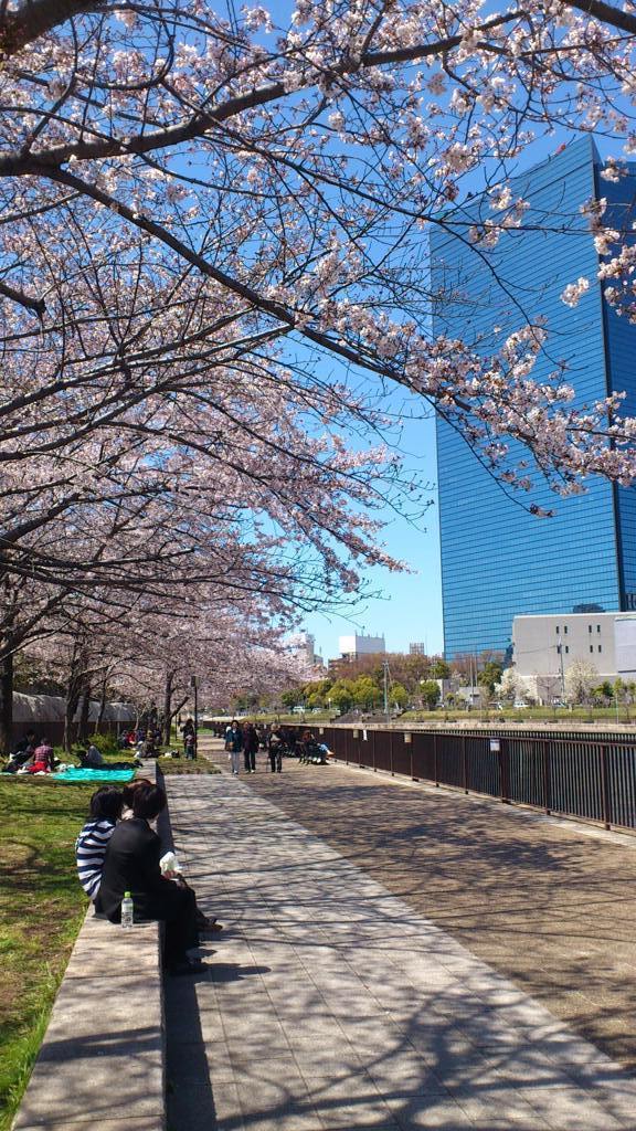 クリスタルタワーと桜
