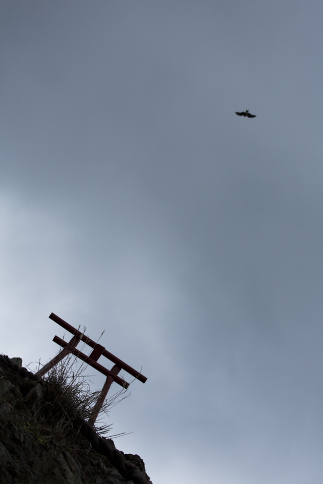 鳥居と鳥撮り（トリイトトリトリ）